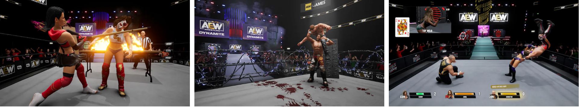 AEW: Fight Forever